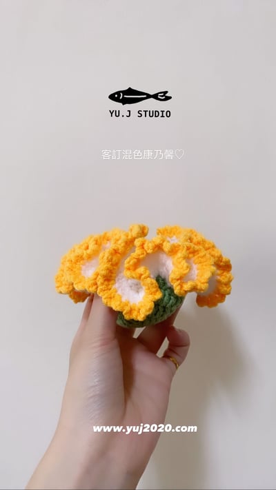 【材料包】康乃馨6