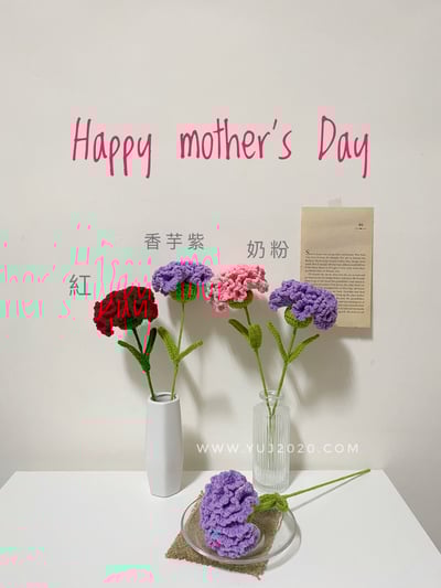 【材料包】康乃馨2