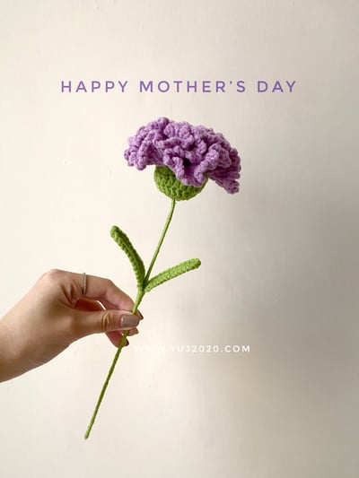 【材料包】康乃馨4