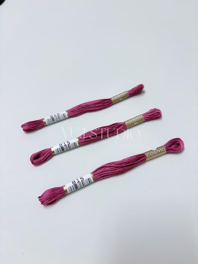 日本原裝進口COSMO 25番繡線 [色號713-843] 區間18