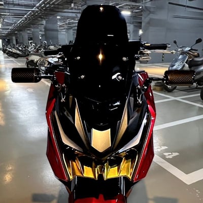 《冠威》RomaGT 羅馬鬼面 貼片式大盾2