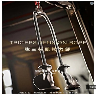 ~子甄彣璟~飛鳥把手 三頭肌 二頭肌 拉力繩 高位下拉 把手訓練器 划船 拉背 健身 龍門架把手 下壓繩索1