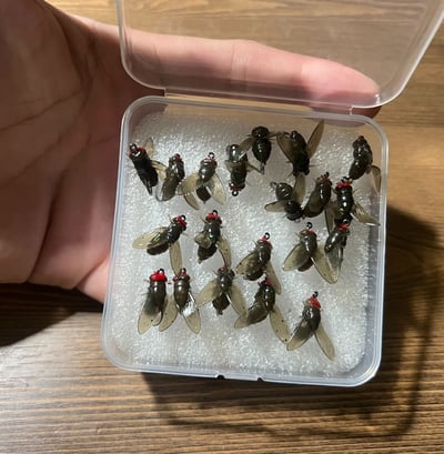 ~子甄彣璟~會飛的魚餌 翅膀晃動 浮水仿生蒼蠅 飛蠅 昆蟲 路亞餌 海釣餌 仿生餌 釣魚 假餌 軟餌 蒼蠅3