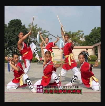 ~子甄彣璟~白蠟桿 棍身 韌性 防震強 白蠟棍 武術棍 少林棍 齊眉棍 健身 長棍 木棍 太極桿 猴棍 武當棍 棍子7