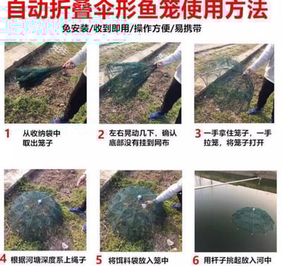 ~子甄彣璟~傘籠 傘式 蝦籠 地籠 捕魚籠 魚網 魚籠 龍蝦網 抓魚 抓蝦 捕魚 螃蟹籠 黃鱔籠 泥鰍籠2