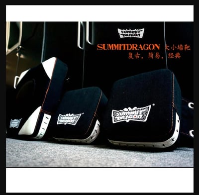 ~子甄彣璟~SUMMITDRAGON 詠春拳靶 寸拳 寸勁 武術練習靶 泰拳 拳擊 牆靶 散打 沙包 牆掛沙袋 3件套2