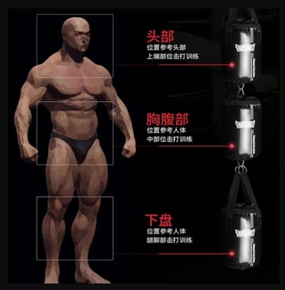 ~子甄彣璟~SUMMITDRAGO 迷你拳擊沙袋 圓柱 沙包 速度球 拳擊 實心拳擊球 發洩球 反應球 拳擊球 反彈球 閃避4