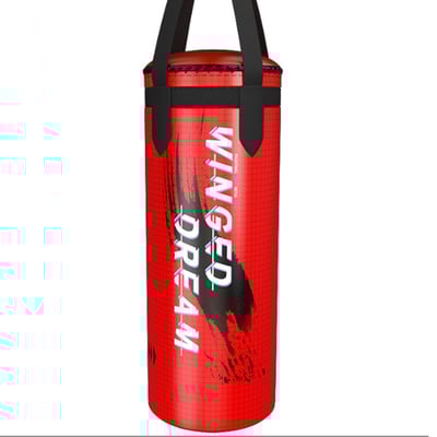 ~子甄彣璟~兒童拳擊沙包 加厚PU耐打不傷手 高彈力仿真手感 兒童沙袋 居家健身 反應訓練 跆拳道練習 7