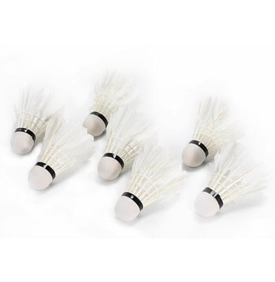 ~子甄彣璟~羽毛球 Swallow 6只裝 飛行穩定 娛樂訓練球 訓練用球 耐打不易爛 鴨毛球 軟木球 練習 羽球2