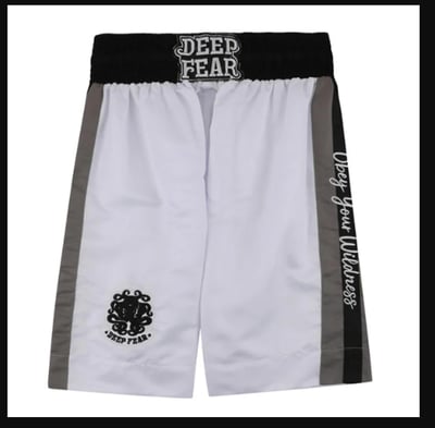 ~子甄彣璟~DF拳擊褲 拳擊短褲 跆拳褲 泰拳褲 踢拳褲 散打褲 格鬥褲 搏擊褲 透氣排汗 短褲 運動褲 武術褲 訓練褲8