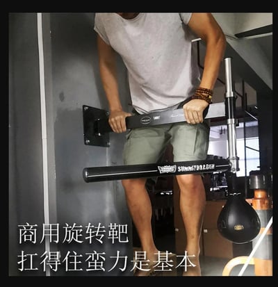 ~子甄彣璟~SUMMITDRAGO 拳館款 拳擊牆靶 旋轉棍靶 速度球 拳擊球 閃避訓練 躲閃防守靶 散打 泰拳5