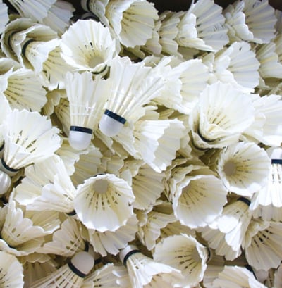 ~子甄彣璟~羽毛球 粗白鵝毛 飛行穩定 娛樂訓練球 訓練用球 耐打不易爛 鴨毛球 軟木球 練習 羽球3