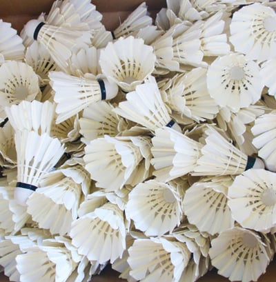 ~子甄彣璟~羽毛球 粗白鵝毛 飛行穩定 娛樂訓練球 訓練用球 耐打不易爛 鴨毛球 軟木球 練習 羽球4