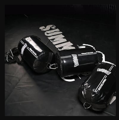 ~子甄彣璟~SUMMITDRAGO 迷你拳擊沙袋 圓柱 沙包 速度球 拳擊 實心拳擊球 發洩球 反應球 拳擊球 反彈球 閃避5