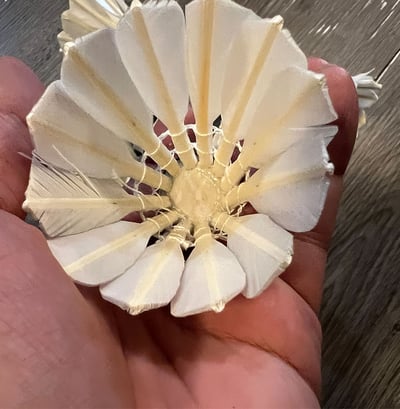 ~子甄彣璟~羽毛球 粗白鵝毛 飛行穩定 娛樂訓練球 訓練用球 耐打不易爛 鴨毛球 軟木球 練習 羽球2