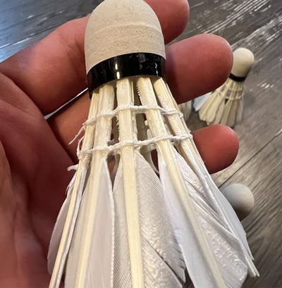 ~子甄彣璟~羽毛球 粗白鵝毛 飛行穩定 娛樂訓練球 訓練用球 耐打不易爛 鴨毛球 軟木球 練習 羽球9