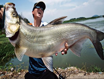 ~子甄彣璟~春節特價中-18cm/26g路亞米諾 魚餌 米諾路亞餌 仿生餌 假魚 海釣 釣魚 假餌 硬餌 擬餌5