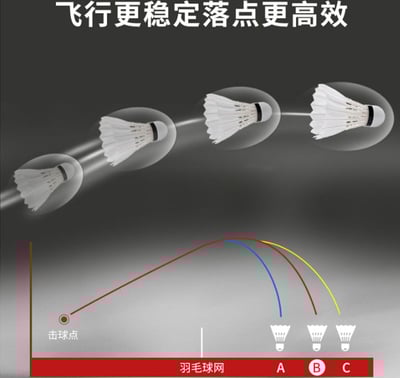 ~子甄彣璟~羽毛球 12只裝 飛行穩定 娛樂訓練球 訓練用球 耐打不易爛 鴨毛球 軟木球 練習 羽球10