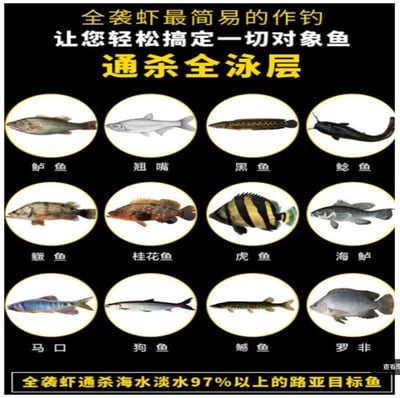 ~子甄彣璟~促銷中-顏色隨機 全襲蝦 通殺全泳層 仿生餌 假蝦 釣魚 仿真假餌 路亞魚餌 路亞餌 蝦子 誘餌 海洋殺手3