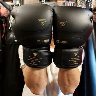 ~子甄彣璟~ZTTY 高顏值CEILING 拳峰加厚 四重組合內膽 拳擊手套 搏擊 散打 泰拳 格鬥 散打 健身運動1