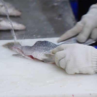 ~子甄彣璟~金目鱸魚 滿1500元 免運 帶皮鱸魚片 100-400g 去刺 鱸魚片 鱸魚 清肉 鱸魚排 高蛋白 脂肪低11