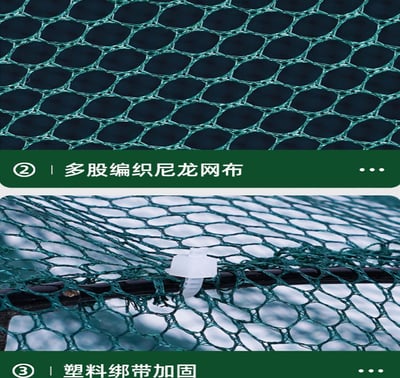 ~子甄彣璟~傘籠 傘式 蝦籠 地籠 捕魚籠 魚網 魚籠 龍蝦網 抓魚 抓蝦 捕魚 螃蟹籠 黃鱔籠 泥鰍籠3