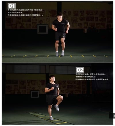 ~子甄彣璟~6.5米12節賣場-敏捷梯 足球訓練 跳格梯 速度梯 能量梯 拳擊步伐訓練梯 軟梯 繩梯 協調性訓練3