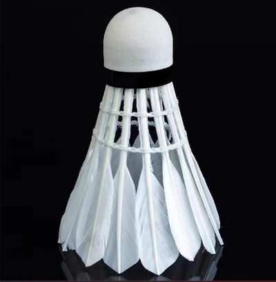 ~子甄彣璟~Swallow 羽毛球 12只裝 飛行穩定 娛樂訓練球 訓練用球 耐打不易爛 鴨毛球 軟木球 練習 羽球8