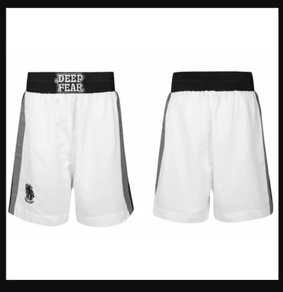 ~子甄彣璟~DF拳擊褲 拳擊短褲 跆拳褲 泰拳褲 踢拳褲 散打褲 格鬥褲 搏擊褲 透氣排汗 短褲 運動褲 武術褲 訓練褲4