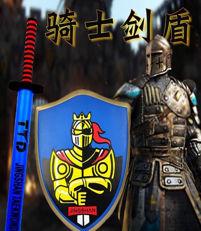 ~子甄彣璟~跆拳道 騎士劍盾靶 劍靶組合 盾牌訓練 格鬥 騎士劍 盾牌靶1