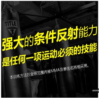 ~子甄彣璟~洛馬琴科 拳擊 訓練球 反應彈力球 魔力球 反彈球 反應球 速度球 手眼協調力 快速反應 準確度訓練 閃躲4