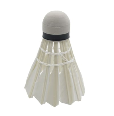 ~子甄彣璟~羽毛球 粗白鵝毛 飛行穩定 娛樂訓練球 訓練用球 耐打不易爛 鴨毛球 軟木球 練習 羽球6