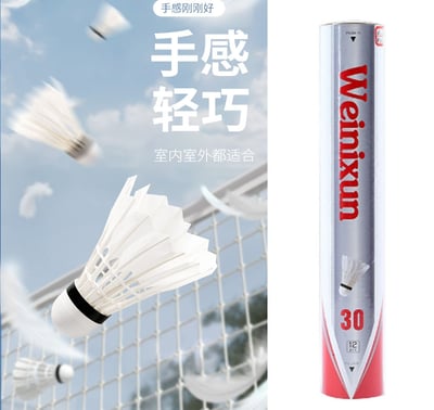 ~子甄彣璟~羽毛球 12只裝 飛行穩定 娛樂訓練球 訓練用球 耐打不易爛 鴨毛球 軟木球 練習 羽球4