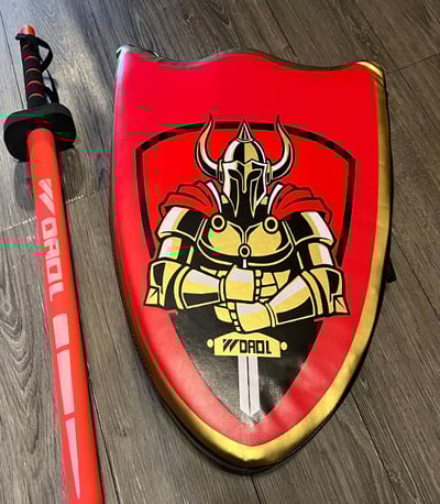 ~子甄彣璟~跆拳道 騎士劍盾靶 劍靶組合 盾牌訓練 格鬥 騎士劍 盾牌靶7