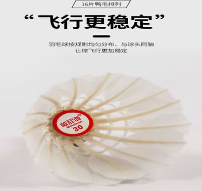 ~子甄彣璟~羽毛球 12只裝 飛行穩定 娛樂訓練球 訓練用球 耐打不易爛 鴨毛球 軟木球 練習 羽球6