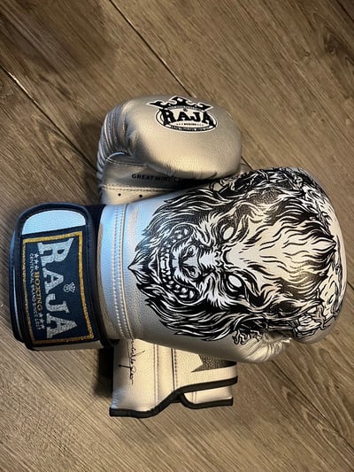 ~子甄彣璟~泰國品牌RAJA 超纖拳擊手套 拳套 比賽訓練 散打 自由搏擊 泰拳 搏鬥 拳擊防具14