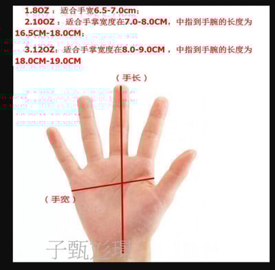 ~子甄彣璟~BN 拳擊手套 拳套 拳擊 防具 護具 手套 搏擊 散打 泰拳 格鬥 散打 健身運動 武術訓練5