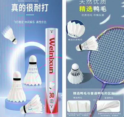 ~子甄彣璟~羽毛球 12只裝 飛行穩定 娛樂訓練球 訓練用球 耐打不易爛 鴨毛球 軟木球 練習 羽球8