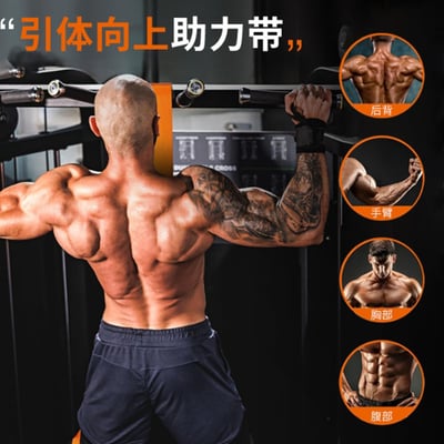 ~子甄彣璟~引體向上助力帶 訓練器 單杠輔助帶 乳胶 拉力器 拉力繩 彈力帶 健身運動7