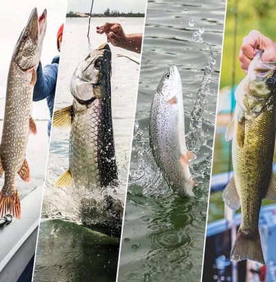 ~子甄彣璟~鉛頭鉤 及頭鉤 汲頭鉤 路亞鉛頭鉤 魚鉤 路亞鉤 路亞假餌 軟蟲 假餌 海釣 釣魚 路亞必備9