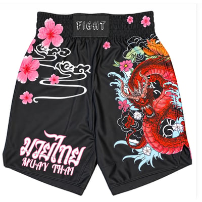 ~子甄彣璟~MMA短褲  泰拳褲 拳擊褲 散打褲 格鬥褲 踢拳褲 自由搏擊褲 泰拳短褲 運動短褲 拳館裝備 格鬥用品 拳擊裝備10