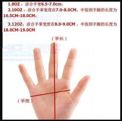 ~子甄彣璟~巴西 Pretorian 拳擊手套 打沙包訓練 拳套 拳擊 手套 搏擊 散打 泰拳 格鬥 散打 健身運動 打沙袋5