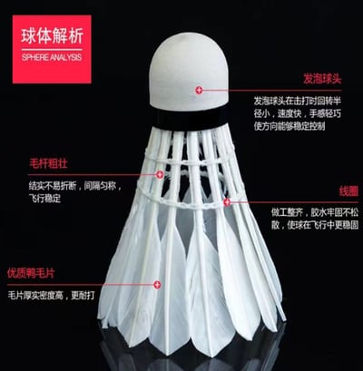 ~子甄彣璟~Swallow 羽毛球 12只裝 飛行穩定 娛樂訓練球 訓練用球 耐打不易爛 鴨毛球 軟木球 練習 羽球10