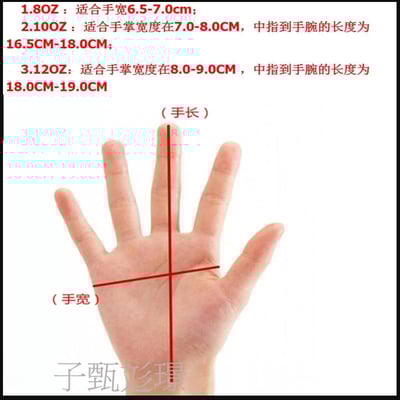 ~子甄彣璟~BN 拳擊手套 拳套 拳擊 防具 護具 手套 搏擊 散打 泰拳 格鬥 散打 健身運動 武術訓練6