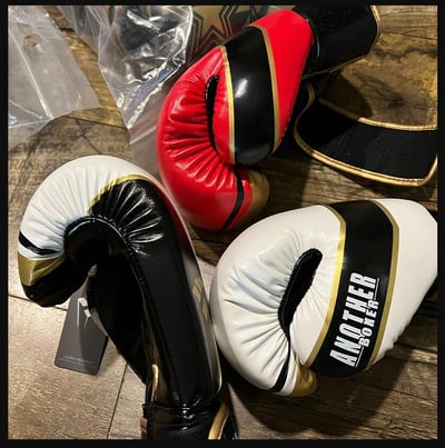 ~子甄彣璟~熱銷中 XE 拳擊手套 拳套 拳擊 手套 搏擊 散打 泰拳 格鬥 散打 健身 運動 武術 訓練6