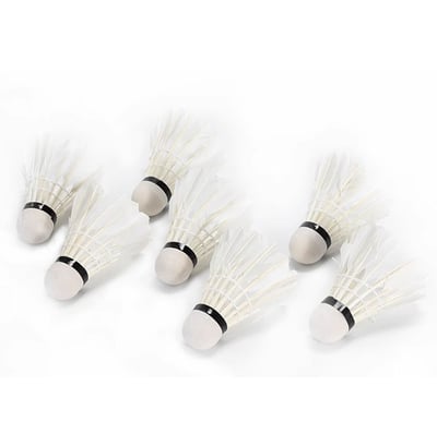 ~子甄彣璟~Swallow 羽毛球 12只裝 飛行穩定 娛樂訓練球 訓練用球 耐打不易爛 鴨毛球 軟木球 練習 羽球6