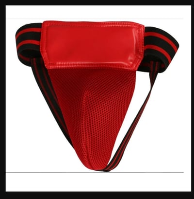 ~子甄彣璟~促銷品-散打護襠 男式護襠 女式護陰 散打內褲護具 跆拳道 空手道 拳擊 運動護具 安全防護4