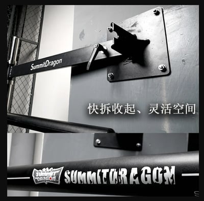 ~子甄彣璟~SUMMITDRAGO 拳館款 拳擊牆靶 旋轉棍靶 速度球 拳擊球 閃避訓練 躲閃防守靶 散打 泰拳6