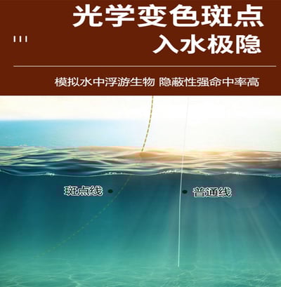 ~子甄彣璟~隱形斑點線組 釣魚線組 主線組 漁具 魚線 競技台 釣魚線 太空豆 八字環 鉛皮 漂座 鉛皮座11