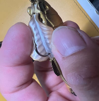 ~子甄彣璟~彈塗跳跳魚 3D仿真 路亞餌 T尾 假餌 誘餌 仿生餌 擬餌 軟餌 仿真餌 包鉛魚5